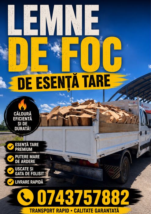 Lemne de foc de esenta tare