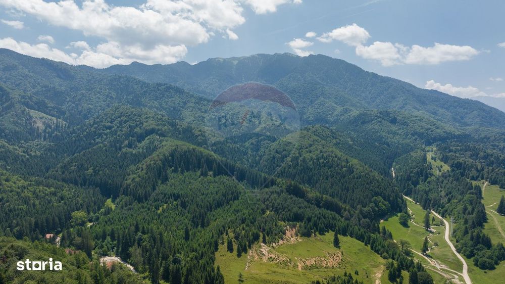 TTeren intravilan, 3500 mp, Dâmbu Morii