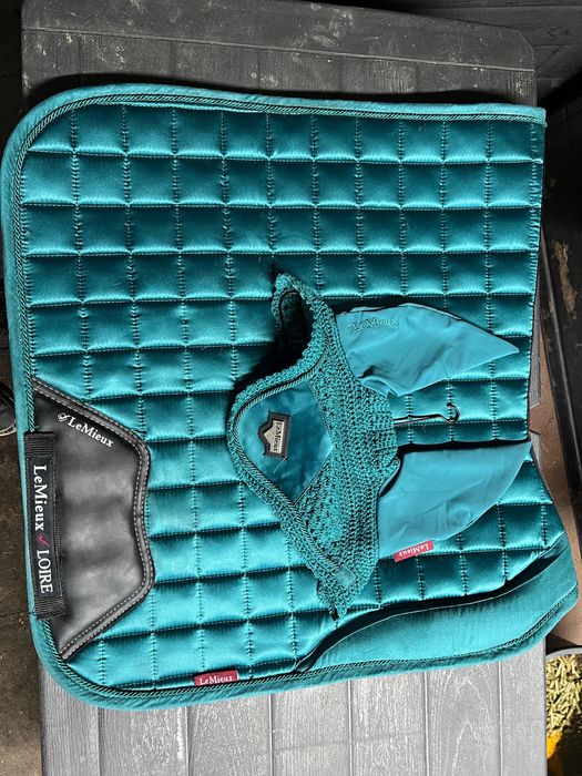 Valtrap LeMieux Dresaj