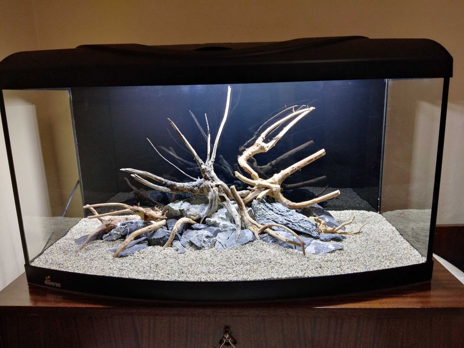 Аквариум Diversa