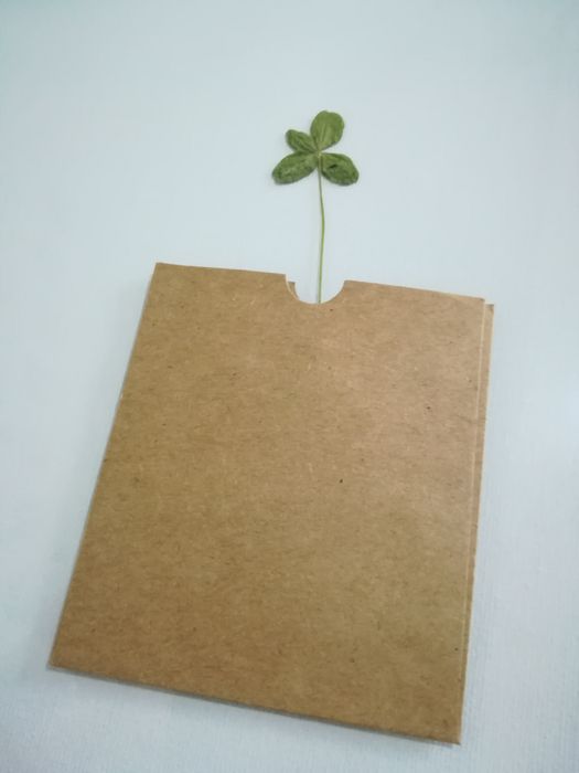 Cadou trifoi cu 4 foi  natural presat noroc