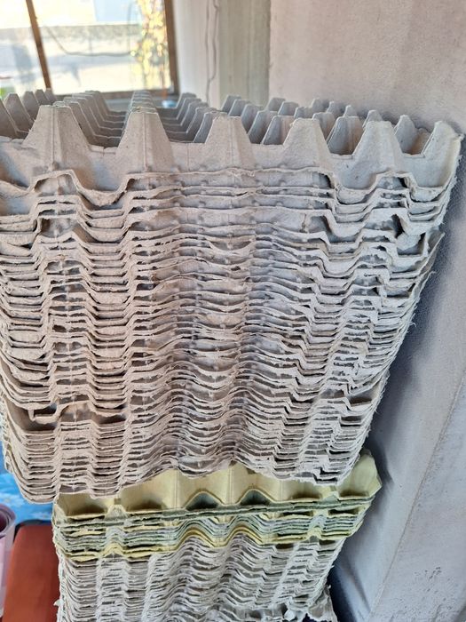 Vând cofraje ouă, folosite o singura data!