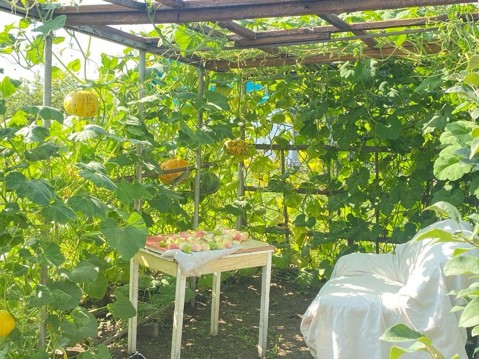 Дача на федоровке