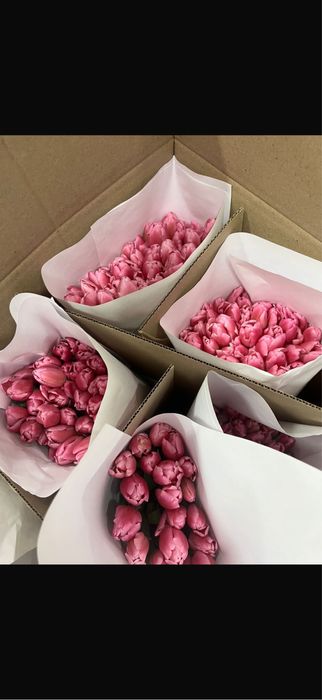 Тюльпаны 600 тг Павлодар