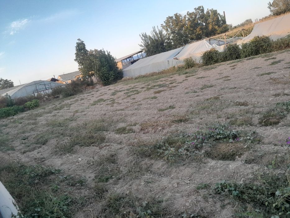 Yer sotiladi 8 sotok