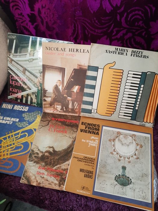 Discuri vinil în conditi  f   bune !