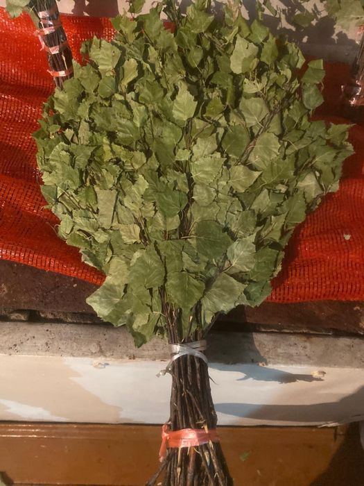 Продам веники березовые