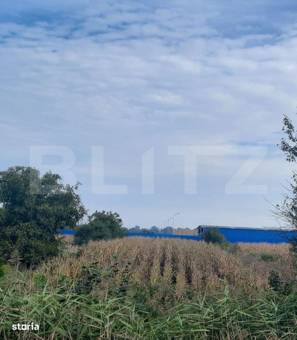 Teren extravilan de vanzare suprafata 1.700 mp ,zona Careiului