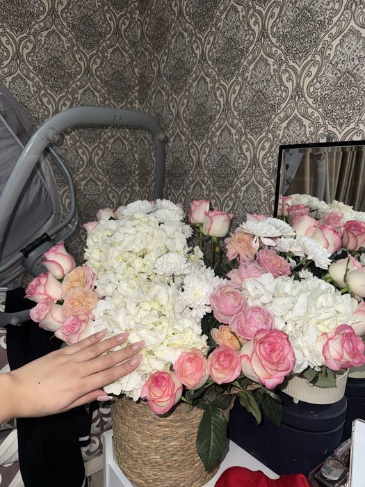 Цветы новые продам