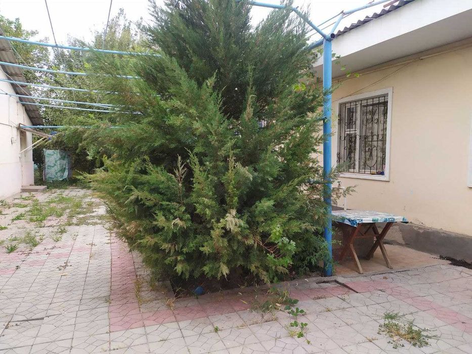 Два дома 3-х (50 кв) и 4-х (60 кв)комнат! Участок 20 соток.