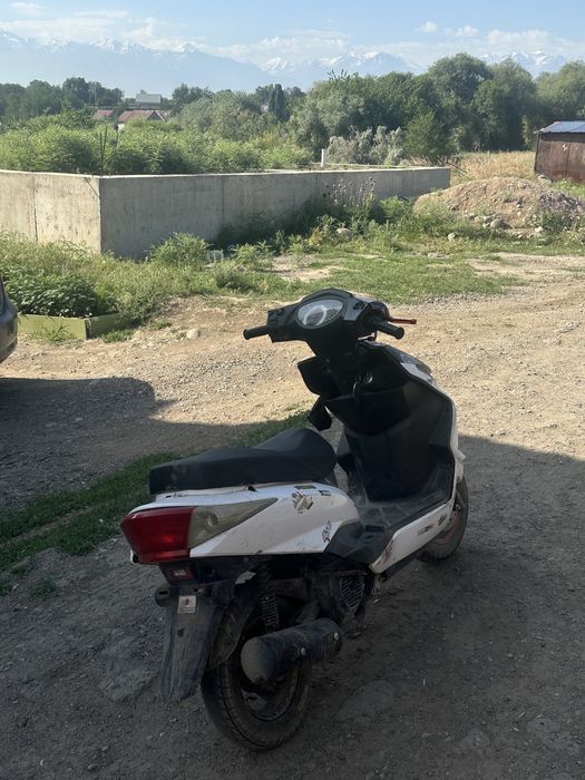 М8 мопед в продаже