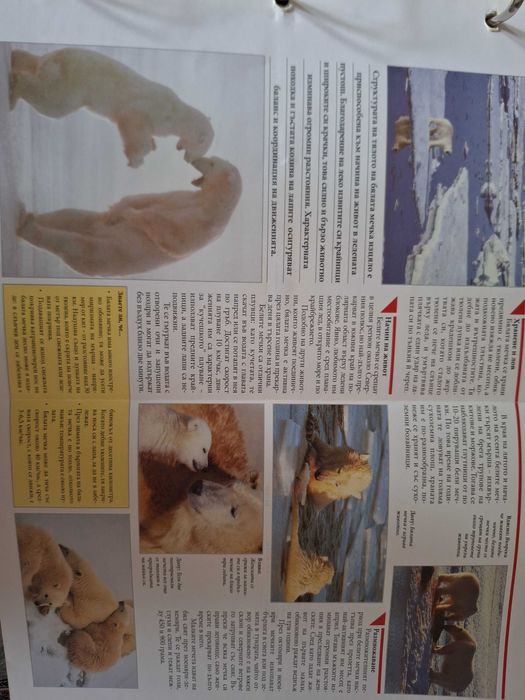 Енциклопедии "Чудният свят на животните"