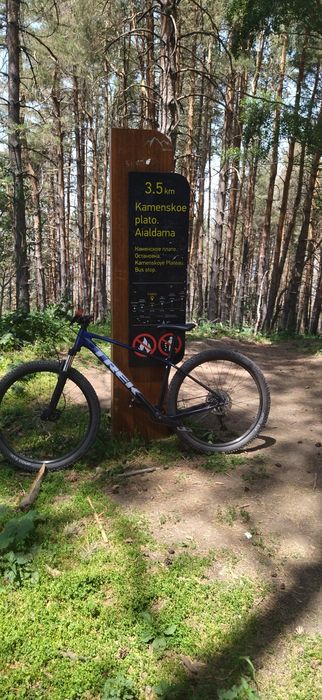 TREK marlin 6 2023