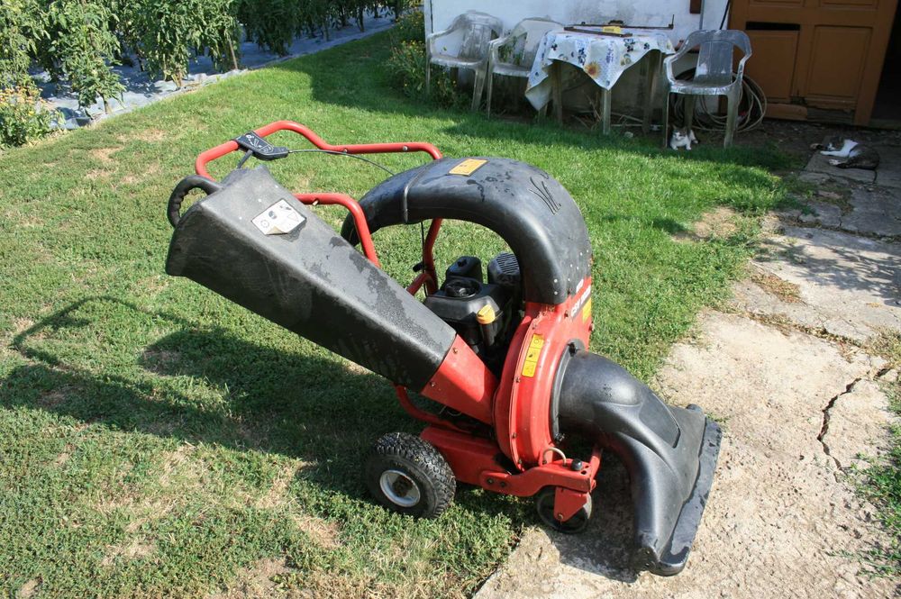 Tocator crengi si aspirator frunze