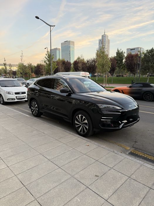 BYD Song Plus EV Champion 2024 — 3