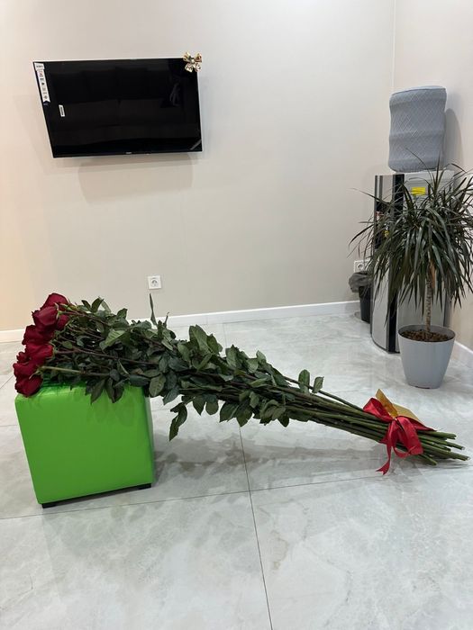 Продам цветы красные розы