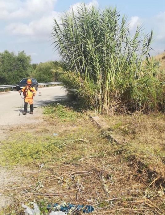 Curatarea defrisare terenuri lasate in paragina