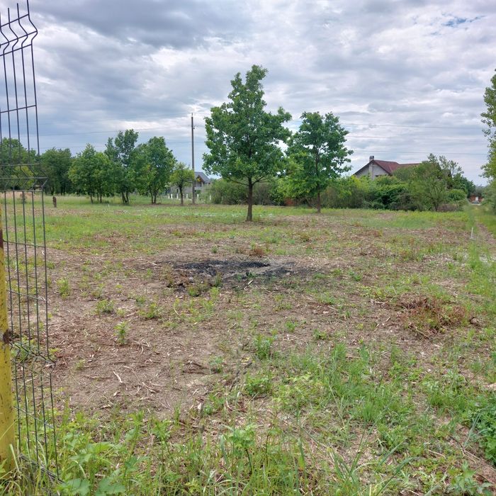 Două parcele teren 1000mp/975mp în Tăuții-Măgherăuș strada 6