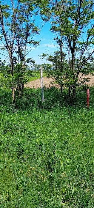 Se vinde teren cu balastieră autorizată!