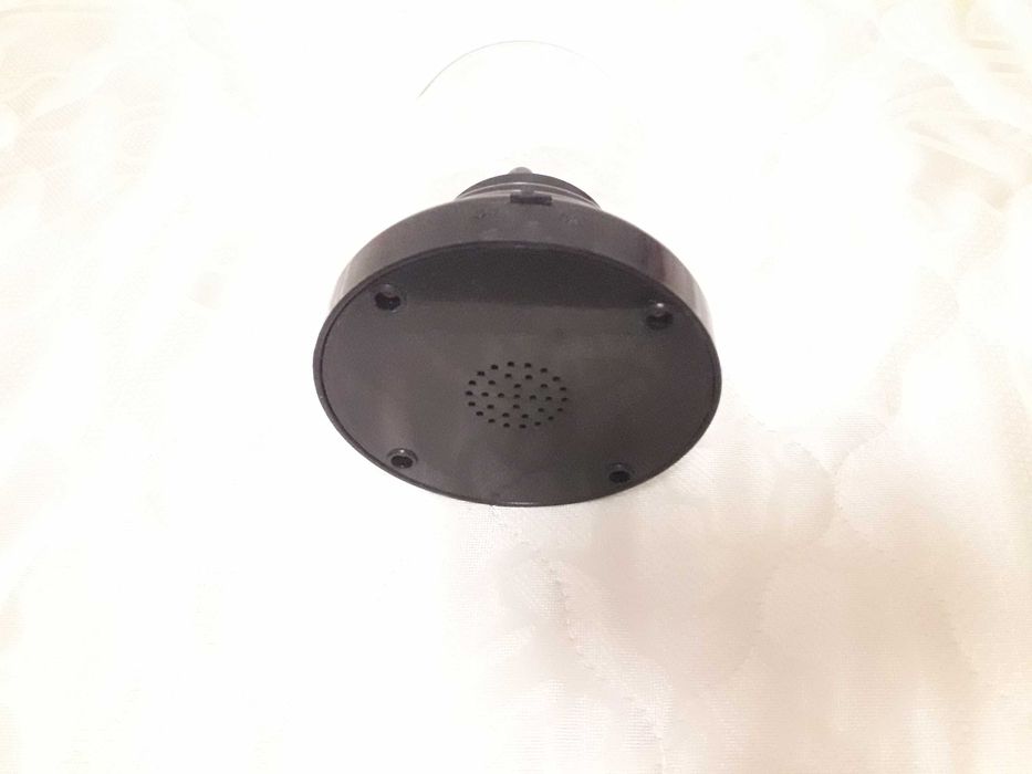 шaр пaлaнтиpoвый