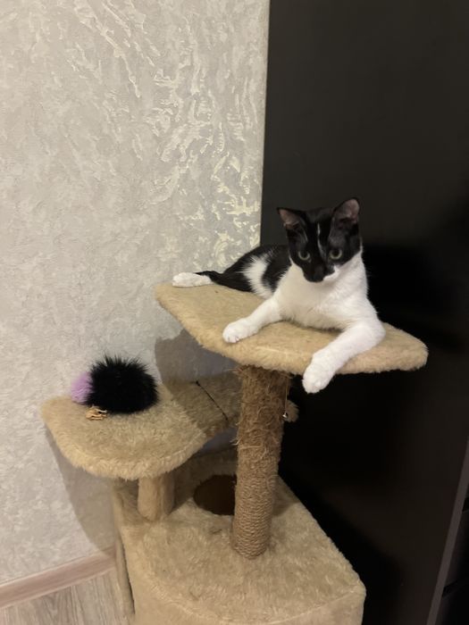 В самые добрые руки