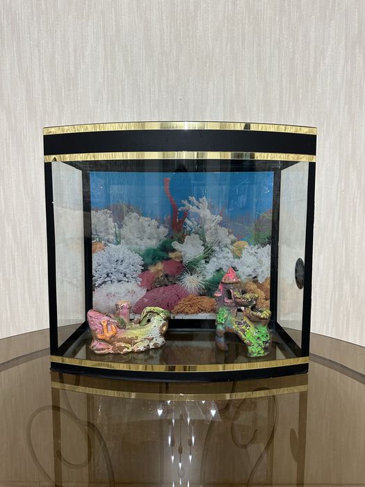 Akvarium srochno sotiladi FULL