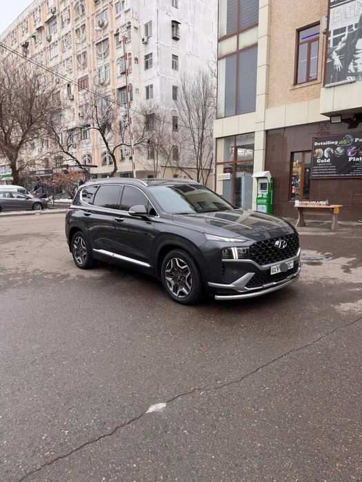 Hyundai Santa Fe Full. Tozza