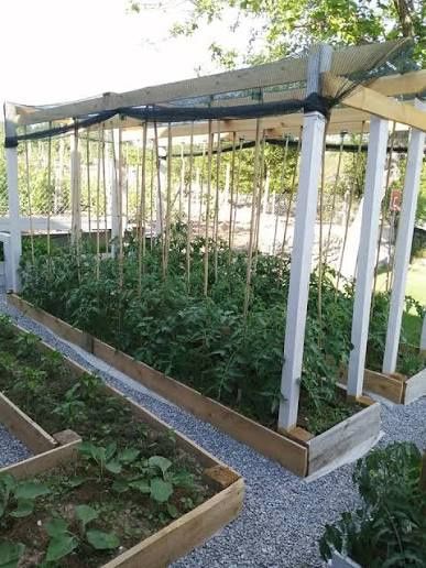 100% биотор от червен калифорнийски червей (3мм сито)