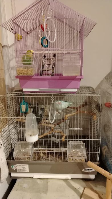 Cuști păsări  mici mari