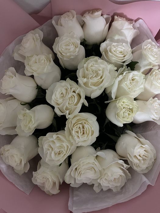 25шт белый роза  свежий