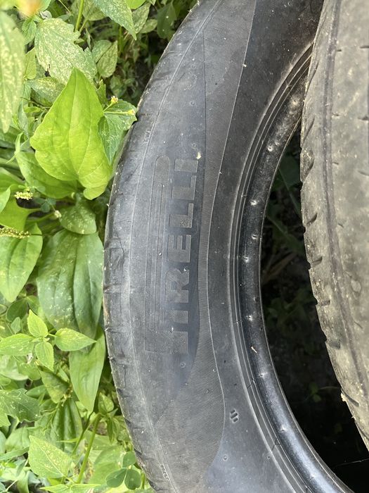 Pirelli 205,55,R16