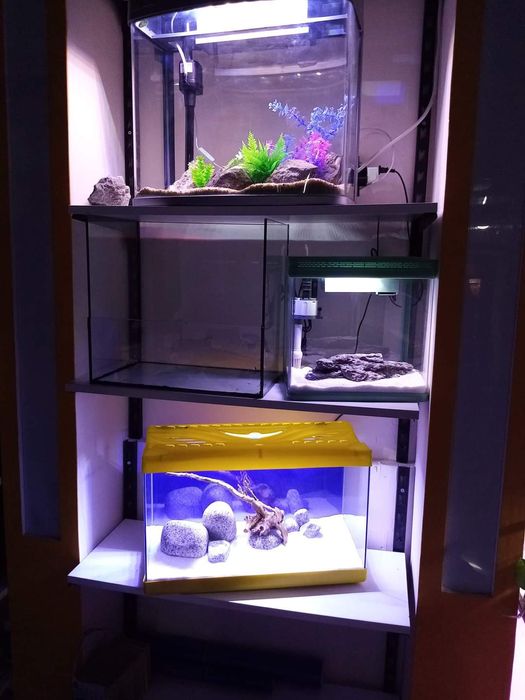 Аквариум аквариум