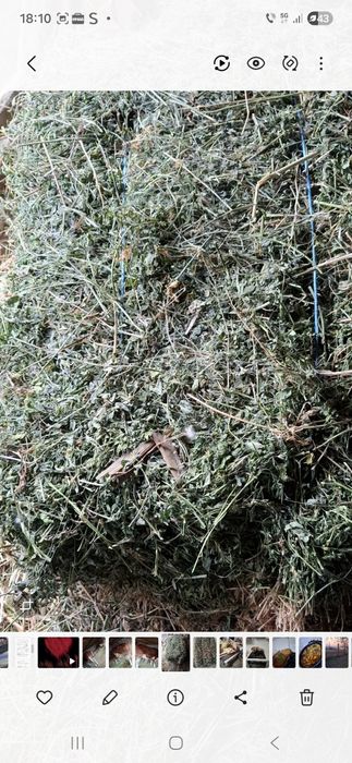 Vând baloti dreptunghiulari de lucerna sj fan