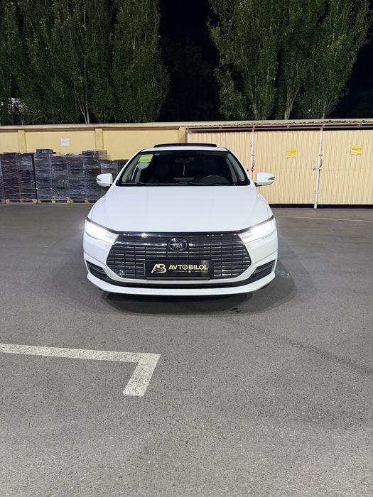 Byd Qin 2023 yil