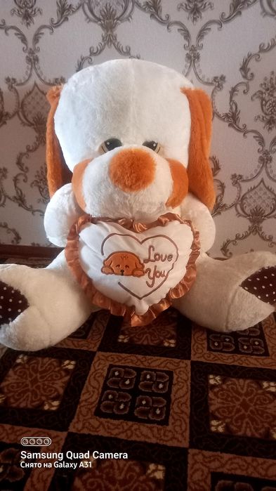 yumshoq uyuncholi kuchukcha