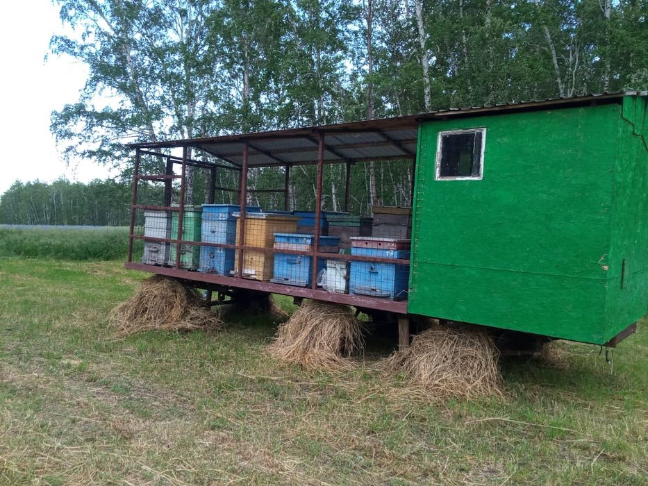 Продам павильон.