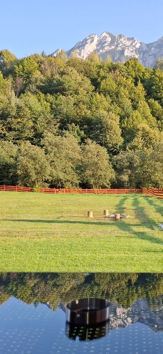 Teren intravilan Plaiul Foii