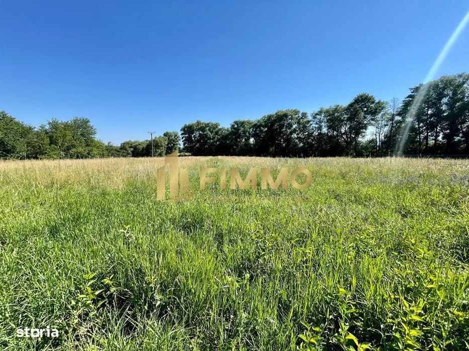 Teren 93 ari | Casa batraneasca pe teren | Zona centrala | ID:423