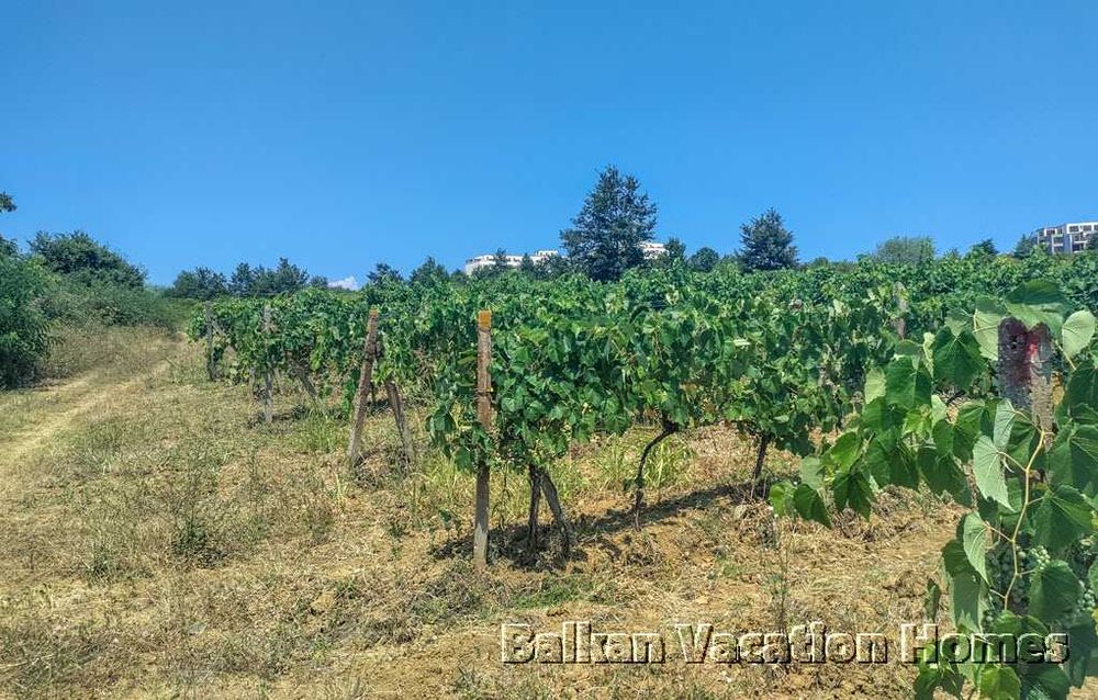 Продава се Парцел в Бяла - 6376 кв.м за 23 €/кв.м - Снимка #3