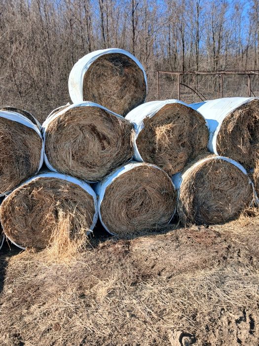 Vand baloti Fân si Lucerna