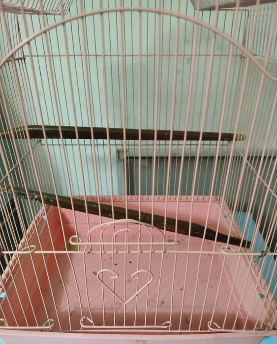 Клетка для птички. Новая