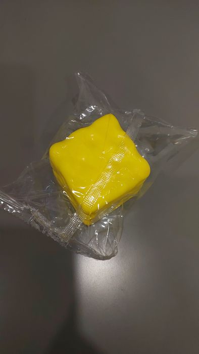 Сквиш сыр обычный