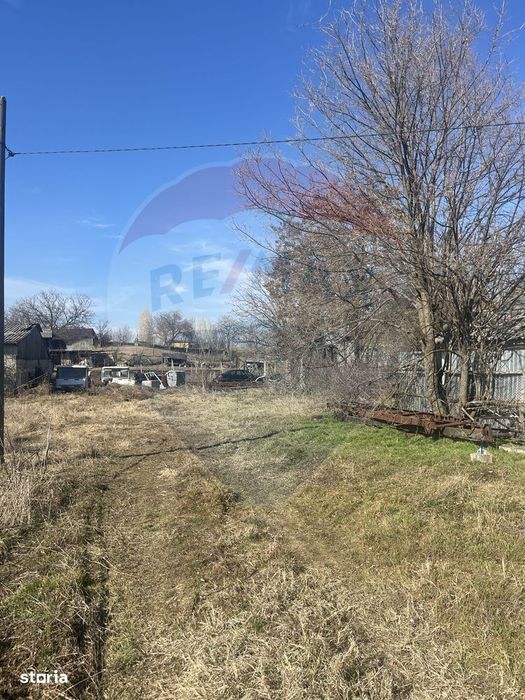 Teren Dumbraveni 2028 mp