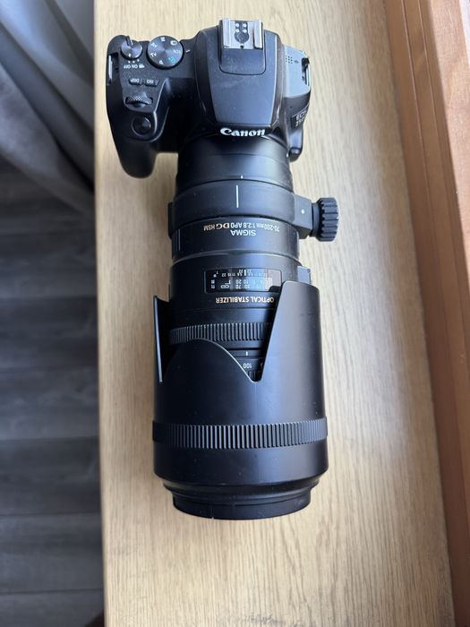 Canon EOS 250D + Sigma 70-200mm 1:2.8