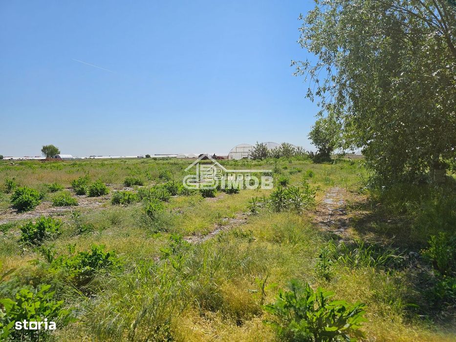 Ideal pentru investitie
