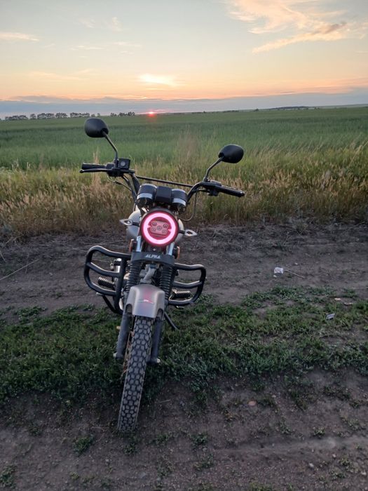 Альфа рх 125кубов