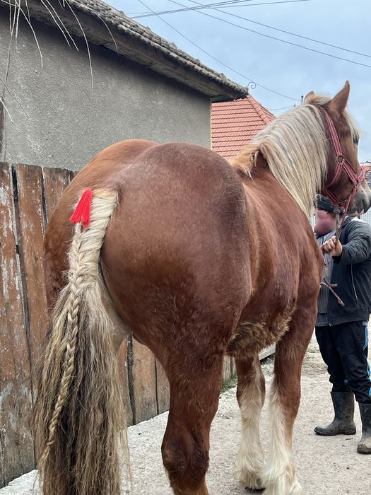 Vând sau schimb !!!