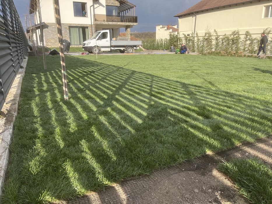 Amenajări Spații Verzi