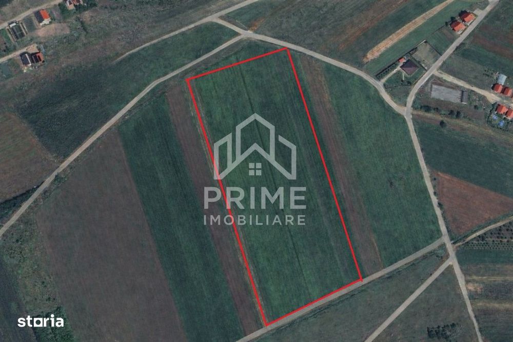 Teren intravilan ideal pentru dezvoltare rezidentiala | 6450mp