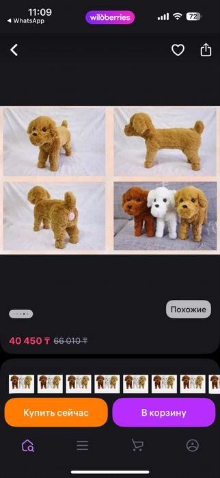 Собача счастья для вашего любимца